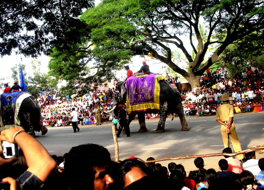 A traditional Mysuru Dasara procession